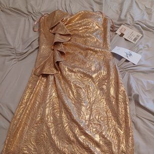Nwt rose gold dress XS